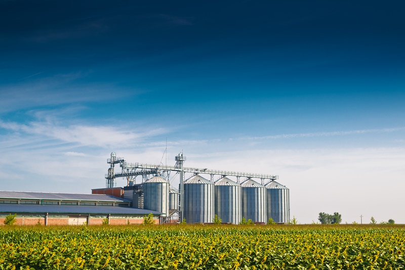 Armazenagem de Grãos: o que você precisa saber sobre silos