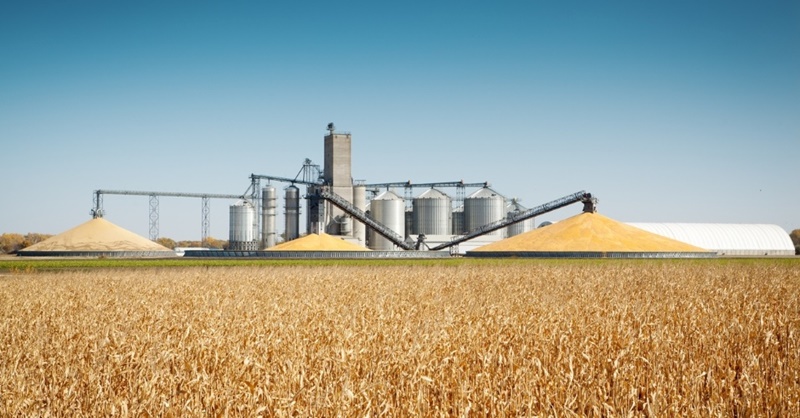 Silos de grãos: requisitos necessários para uma armazenagem segura